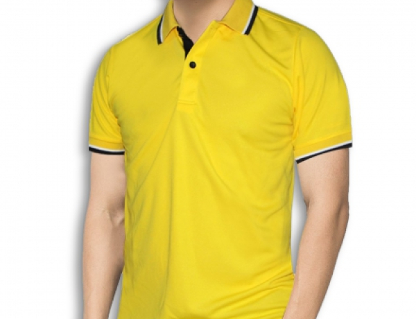 ÁO CÁ SẤU MÈ VÀNG
